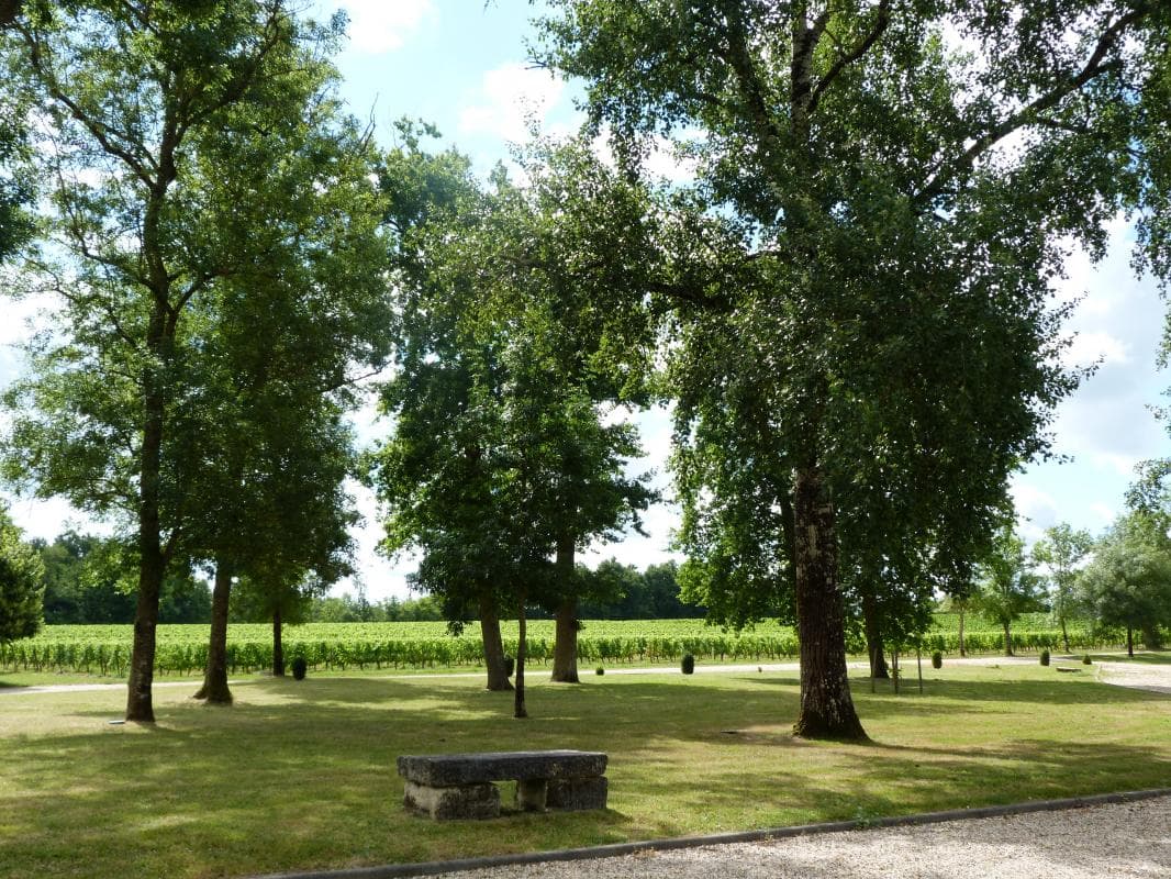 Château Malfard - Semillon