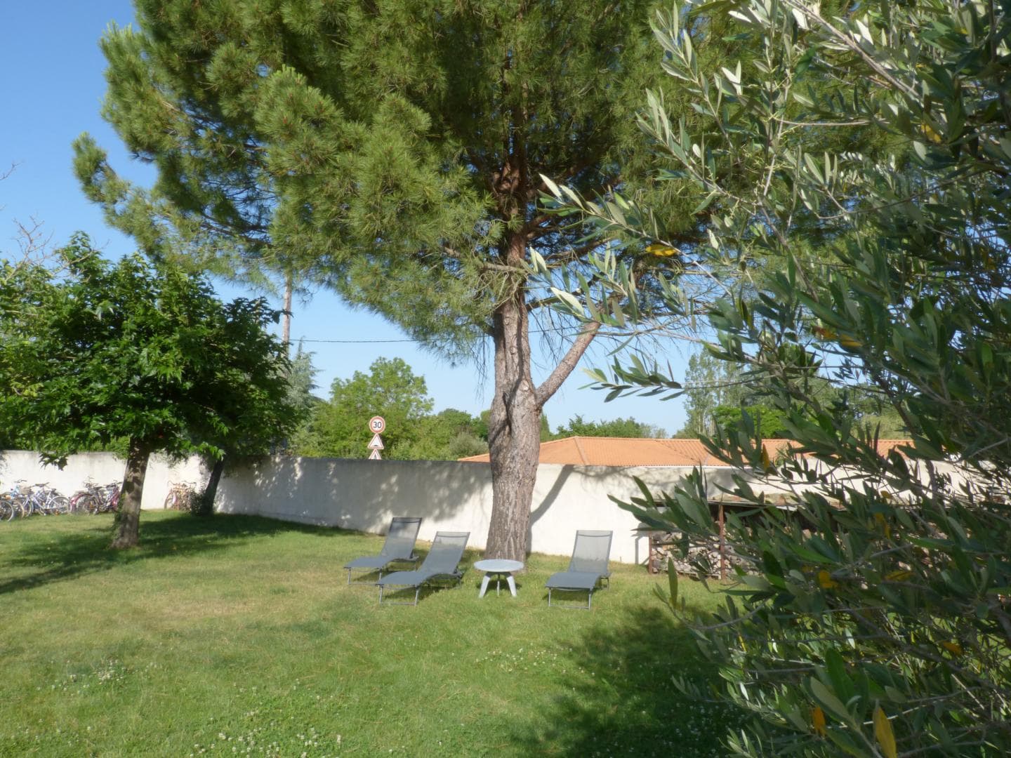 Jardin