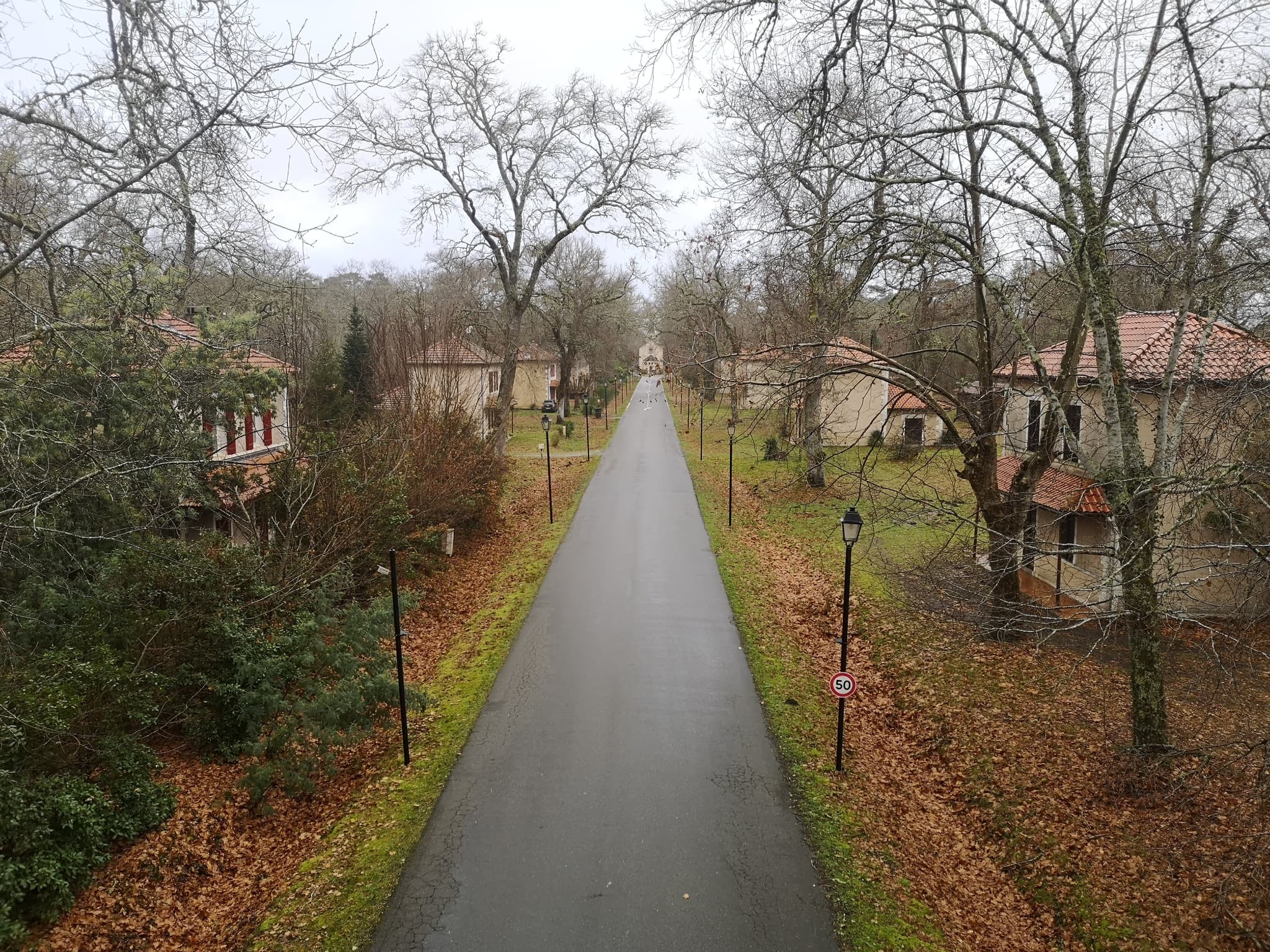 Allée du centenaire