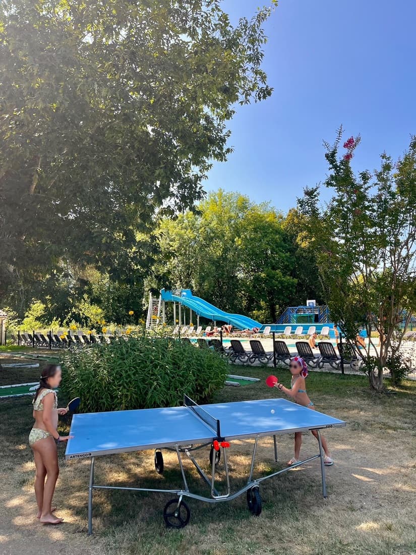 ping-pong