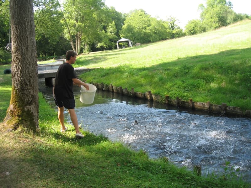 pisciculture moulin de Boissonnie Douzillac bassin truites