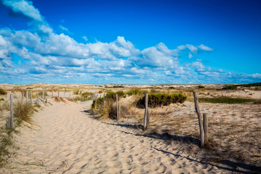 plage-oceane-biscarrosse