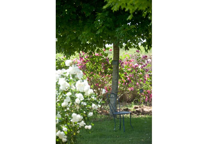 Parc Floral - La Roseraie_2