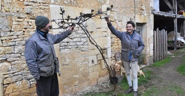POC Porte oiseau et compagnie