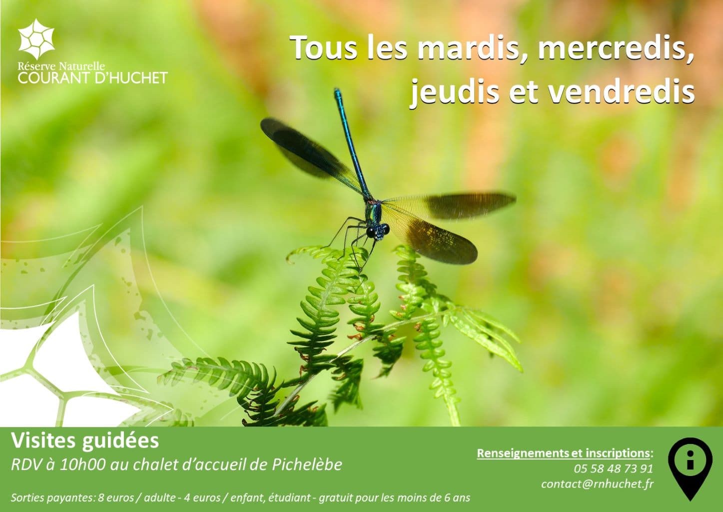 réserve Huchet Visites guidées - Eté - 2026 Moliets et maa OTI Landes Atlantique Sud