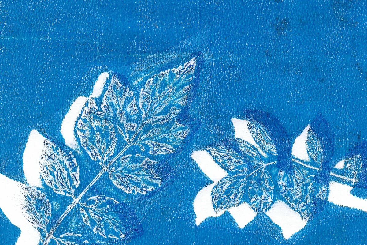 Cyanotype