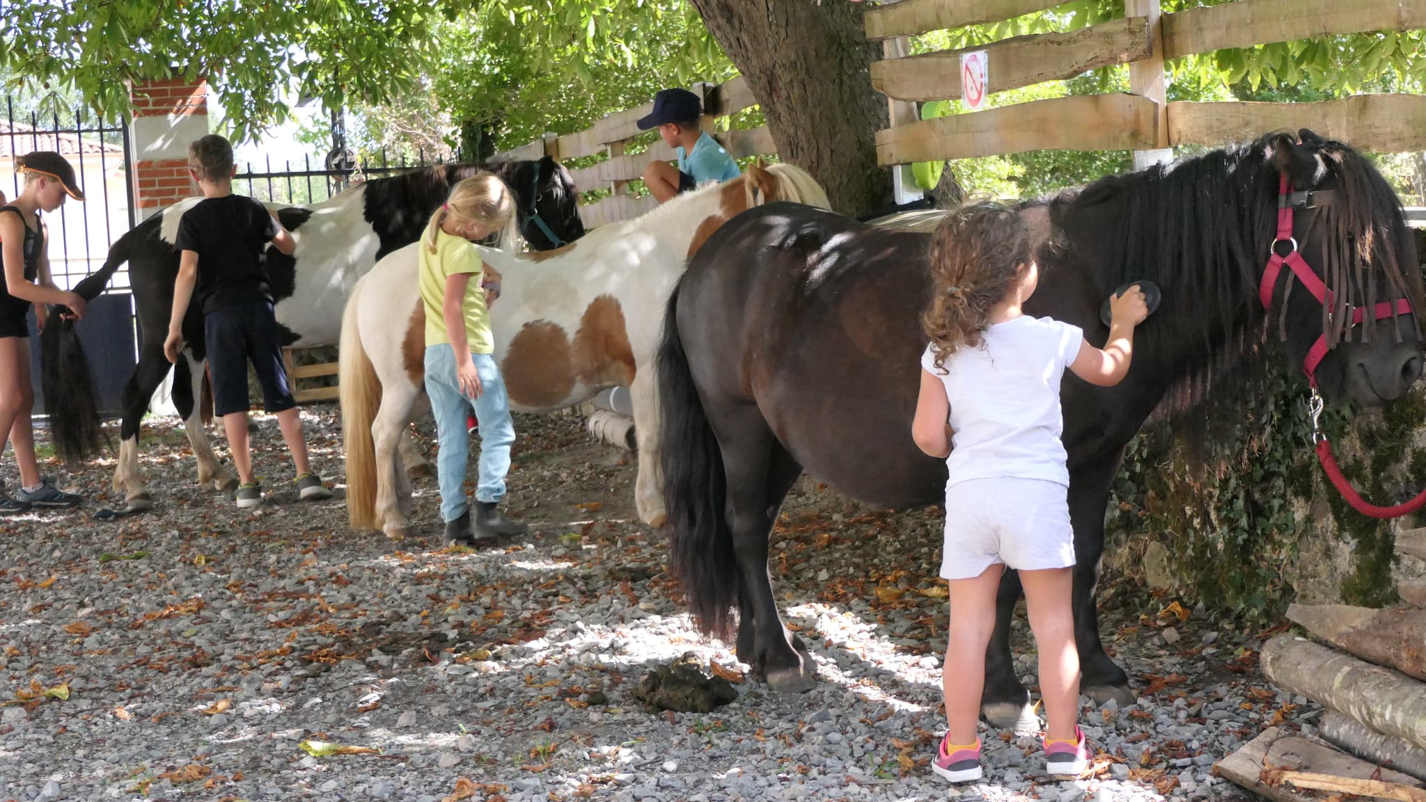 Ferme pédagogique Terr'Happy - Rochechouart