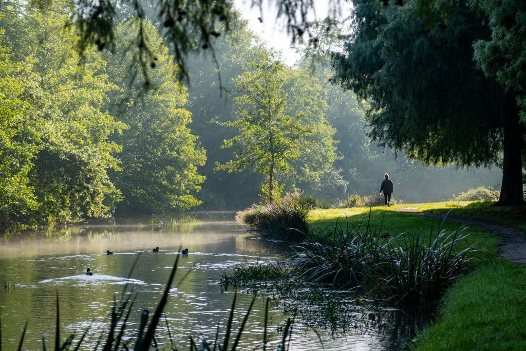 ruisseau_de_bibic_soustons_10.2024©Landes Atlantique Sud - V2