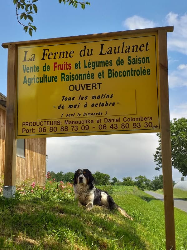 saint colomb de lauzun-la ferme du laulanet-cookie panneau