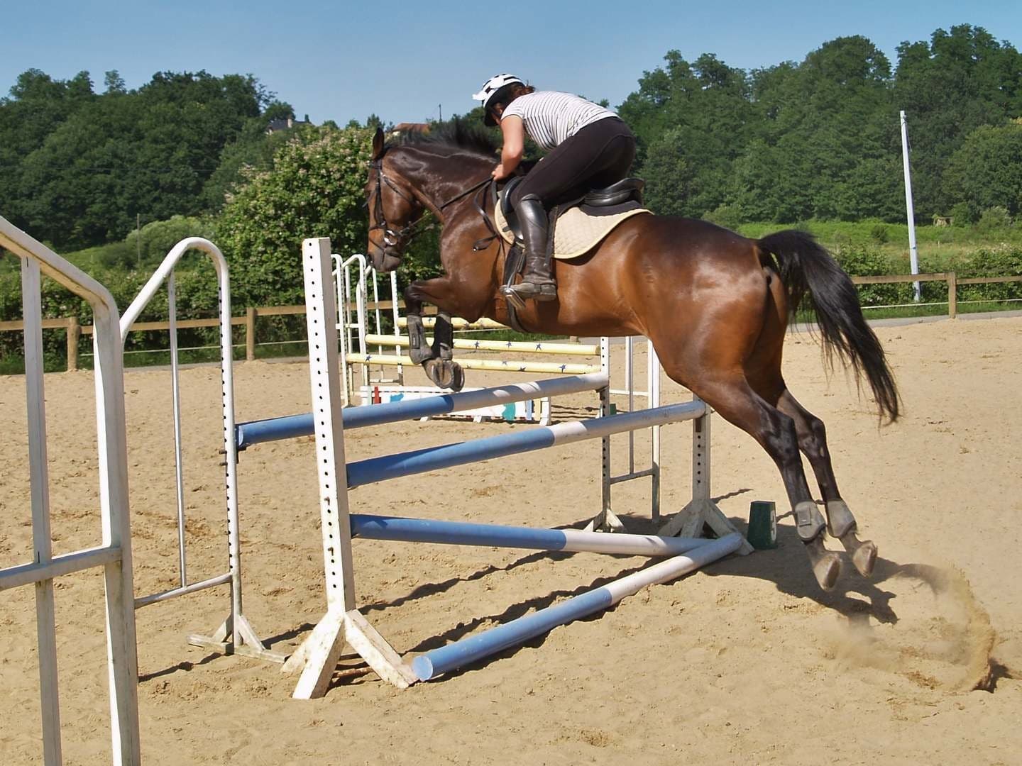 Club Hippique - Lescar - saut