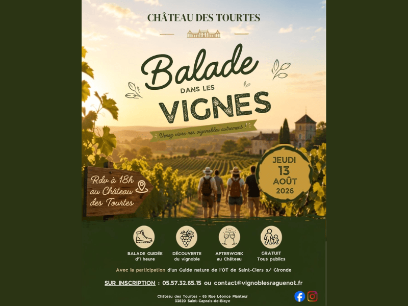 Balade dans les vignes