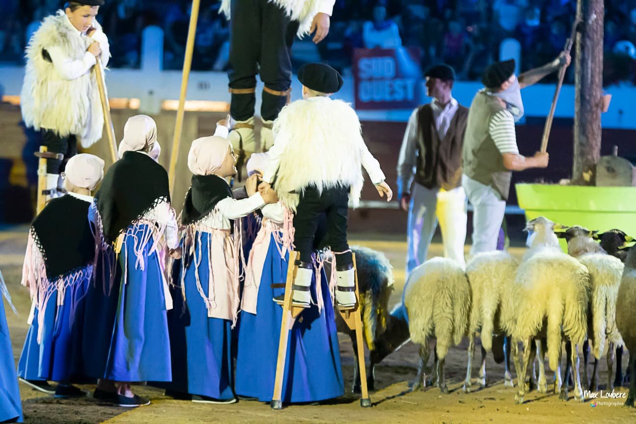 spectacle-landes-emotion-bergers