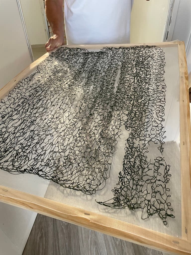 spiruline-arlequin-st-sauveur