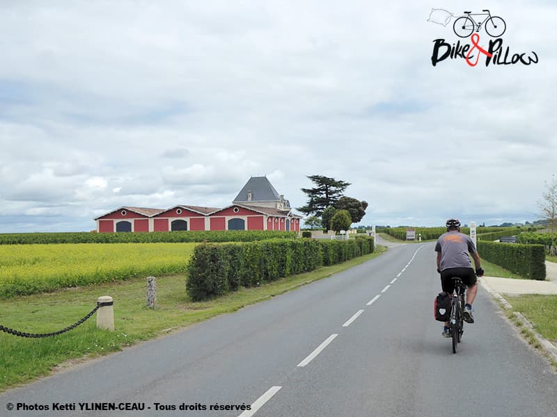st-Emilion-Bike_Pillow
