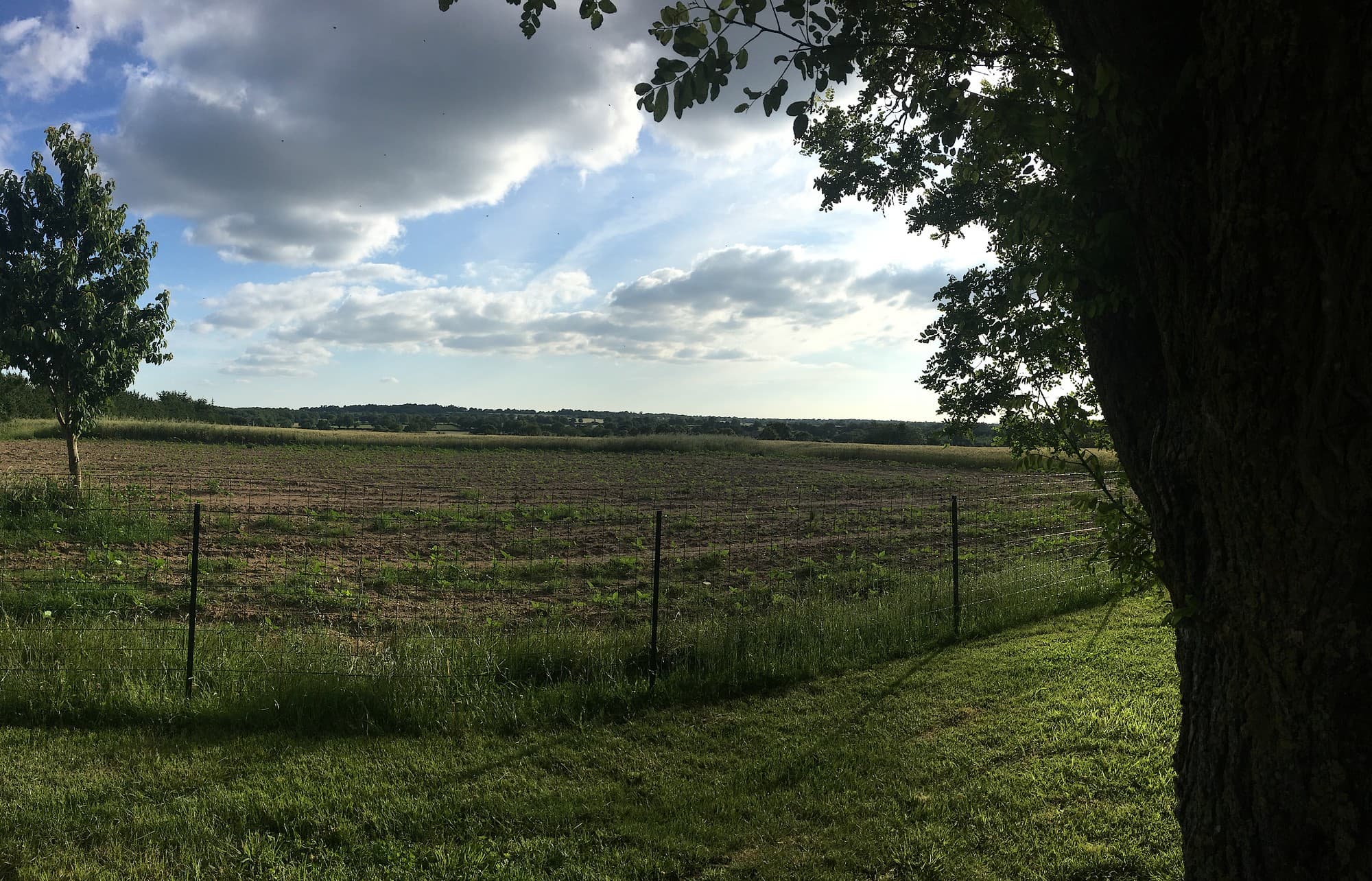 st-aubin-de-baubigne-gite-chez-juliette-paysage2