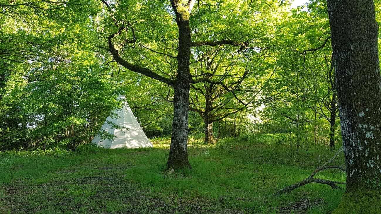 st-pierre-des-echaubrognes-domaine-chnatoiseau-tipi3