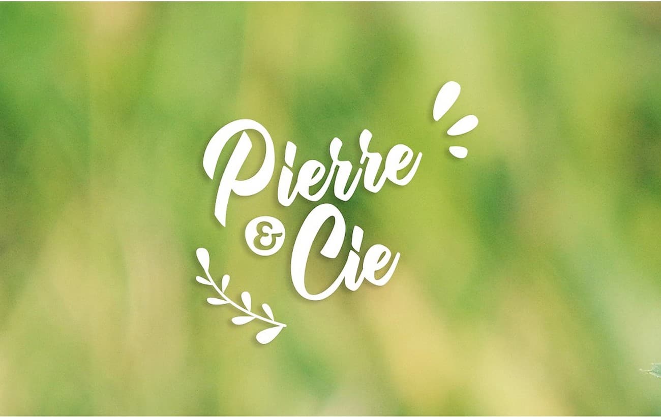 st-pierre-des-echaubrognes-epicerie-solidaire-pierre-et-cie-logo