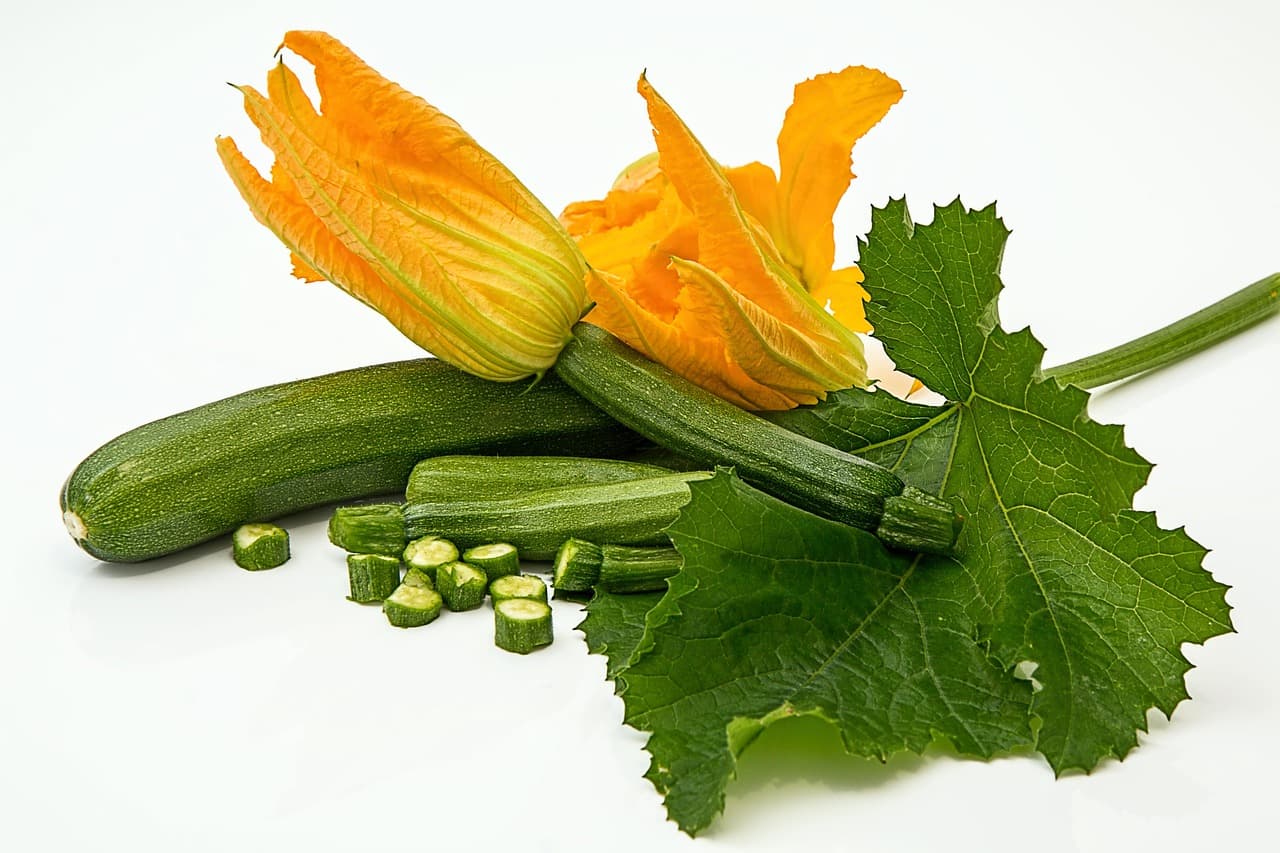 stevepb-zucchini-