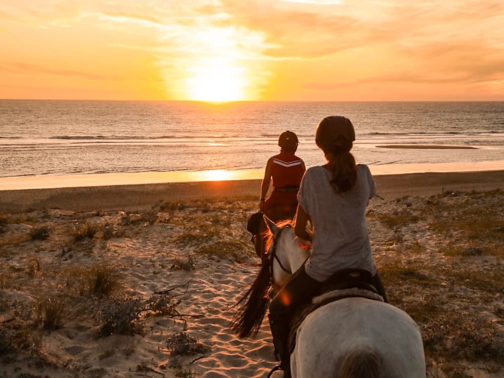 Sunset ranch seignosse