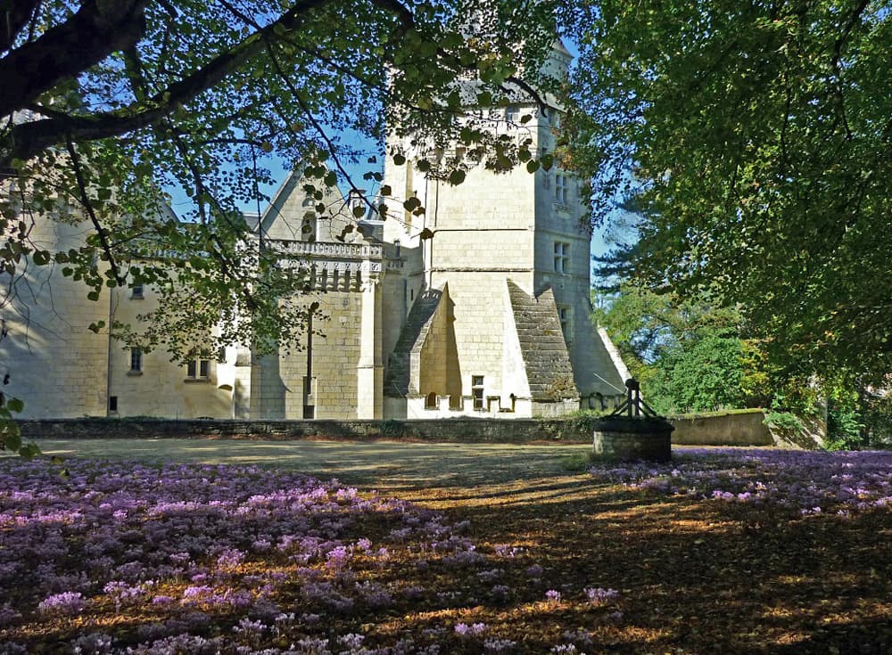 Château de Ternay