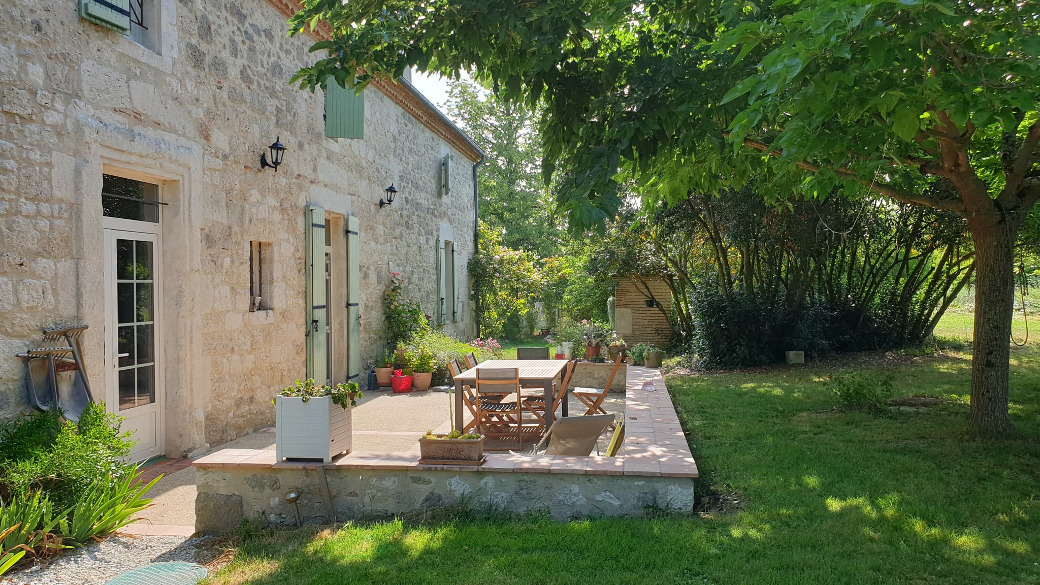 terrasse Kiwi (1)