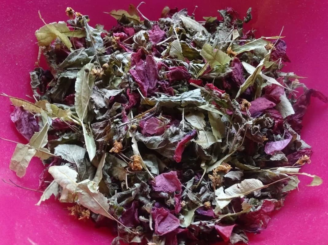 tisane reves ©Elea Marchand
