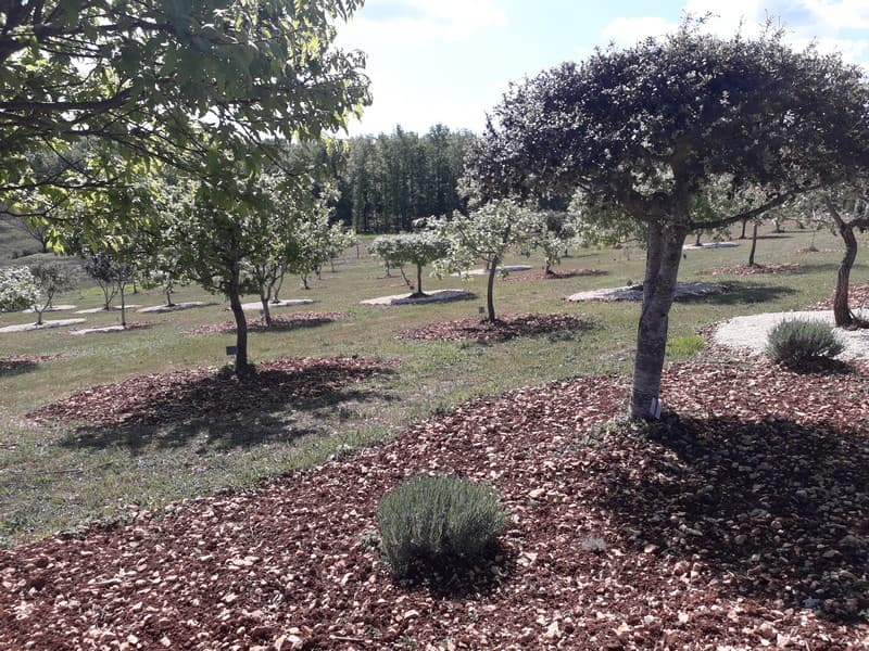 truffière-garrigue (3)