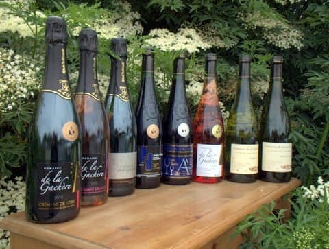 Domaine Gachere viticulteur vins degustation Cersay Val en Vignes Thouarsais