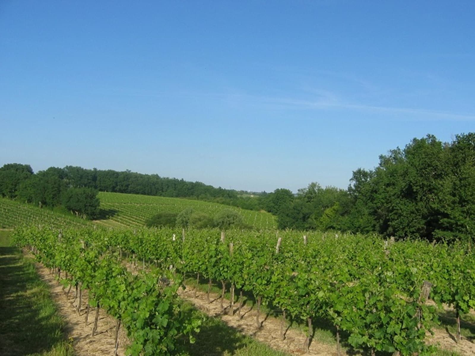 Château Haut de Lerm