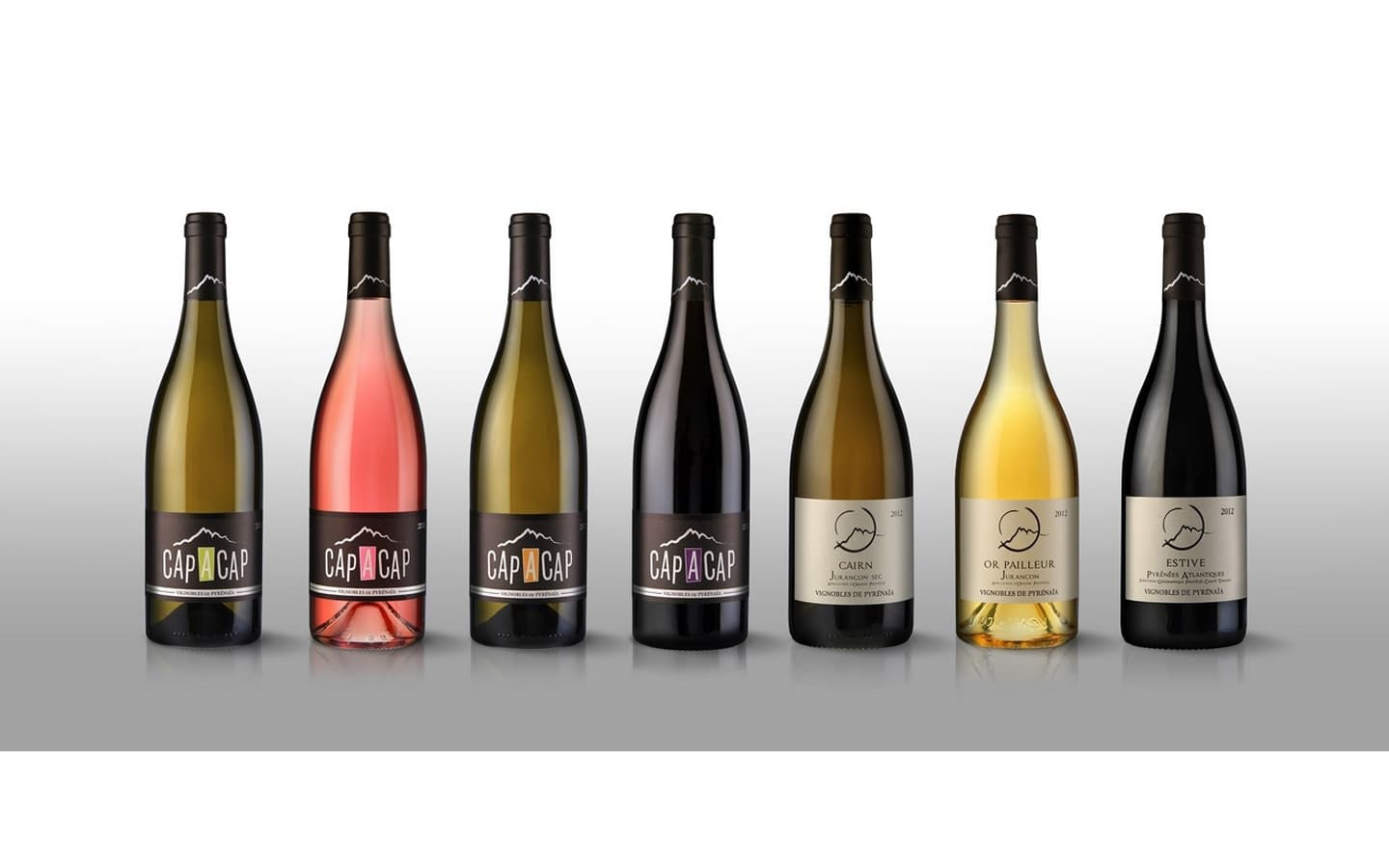 Vins de Pyrénaïa