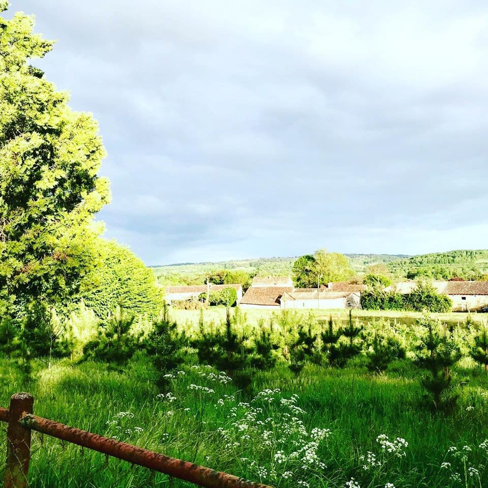 vue campagne château des Chauvaux