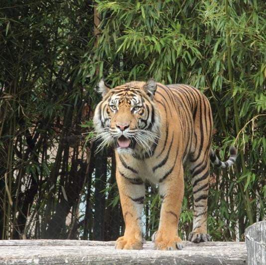 zoo du bassin d'arcachon 5