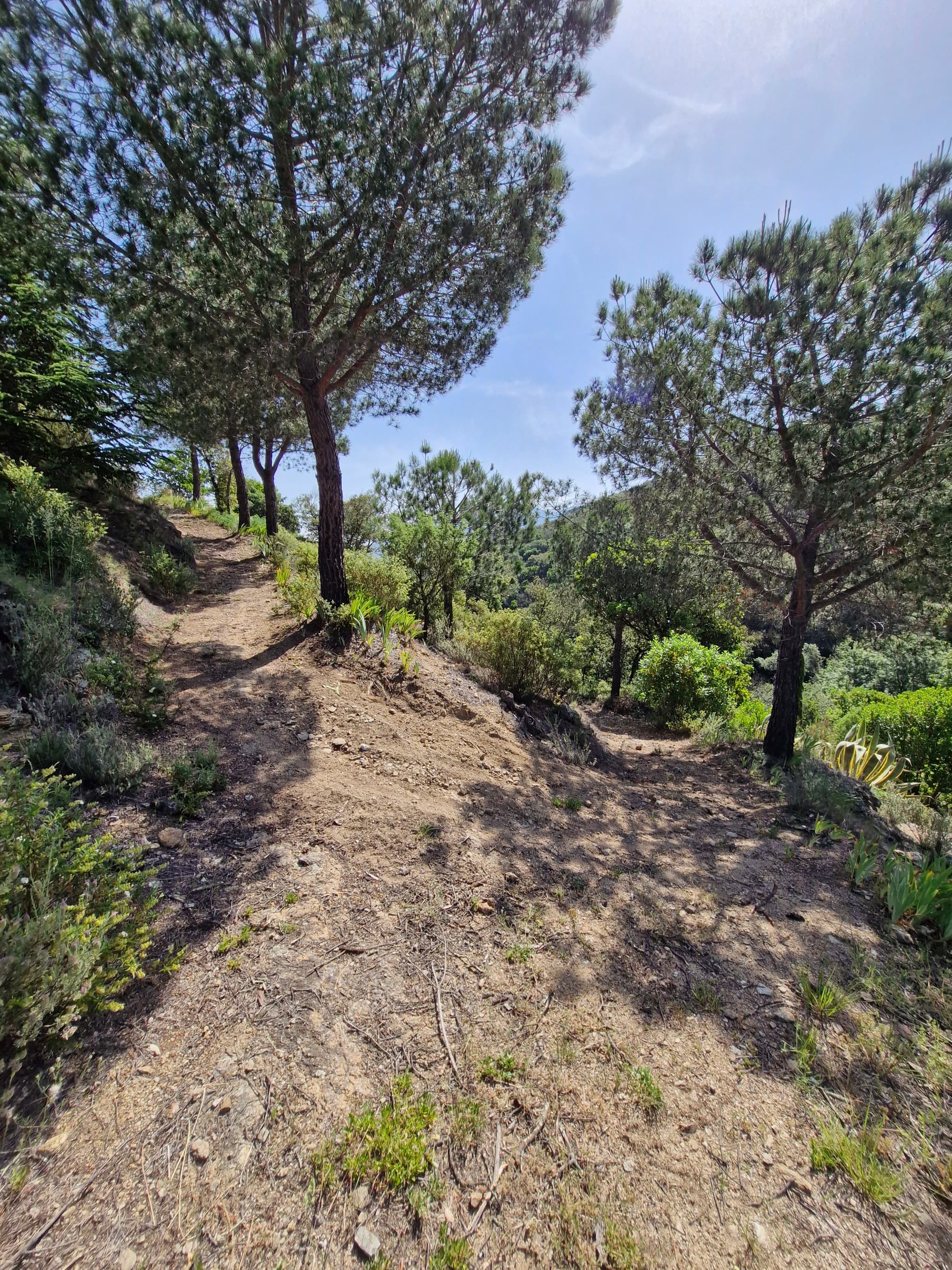 20250601_104853 (1)
