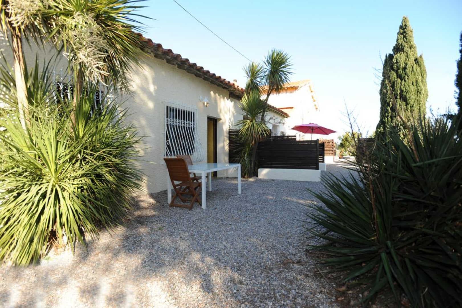 Le yucca_18