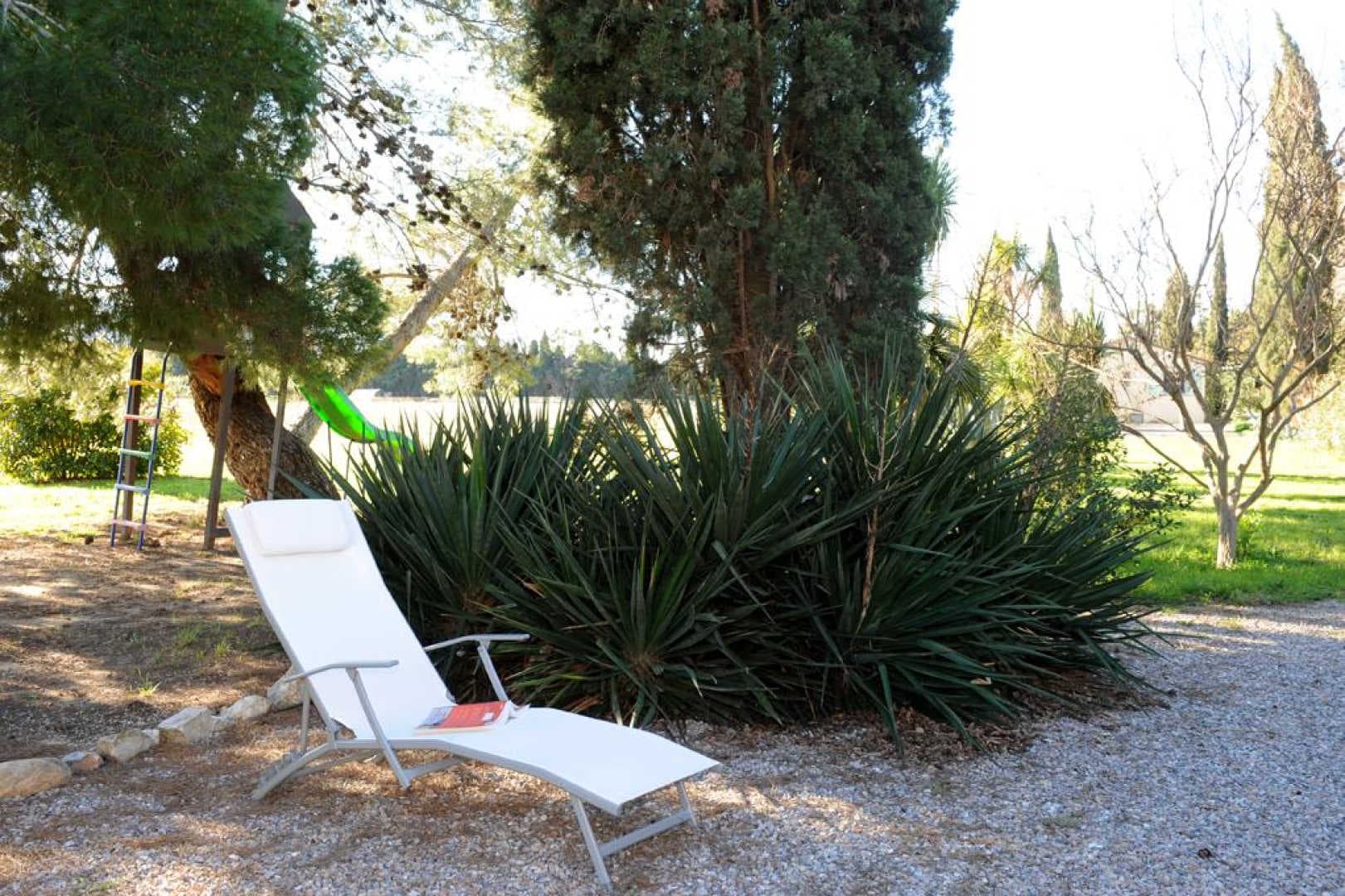 Le yucca_20