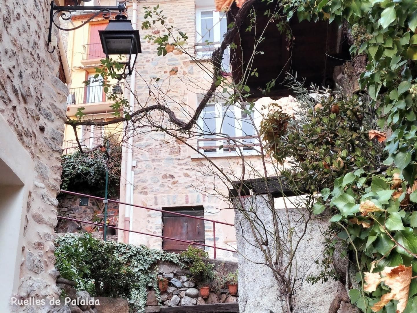 Chez Suzanne- Appartement Vallespir_21
