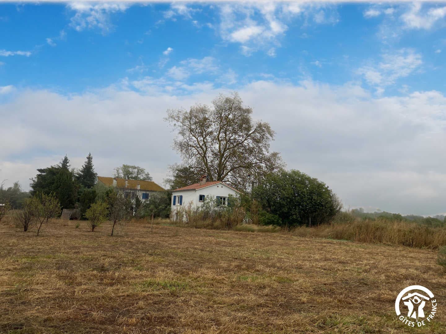 La maison bleue_23