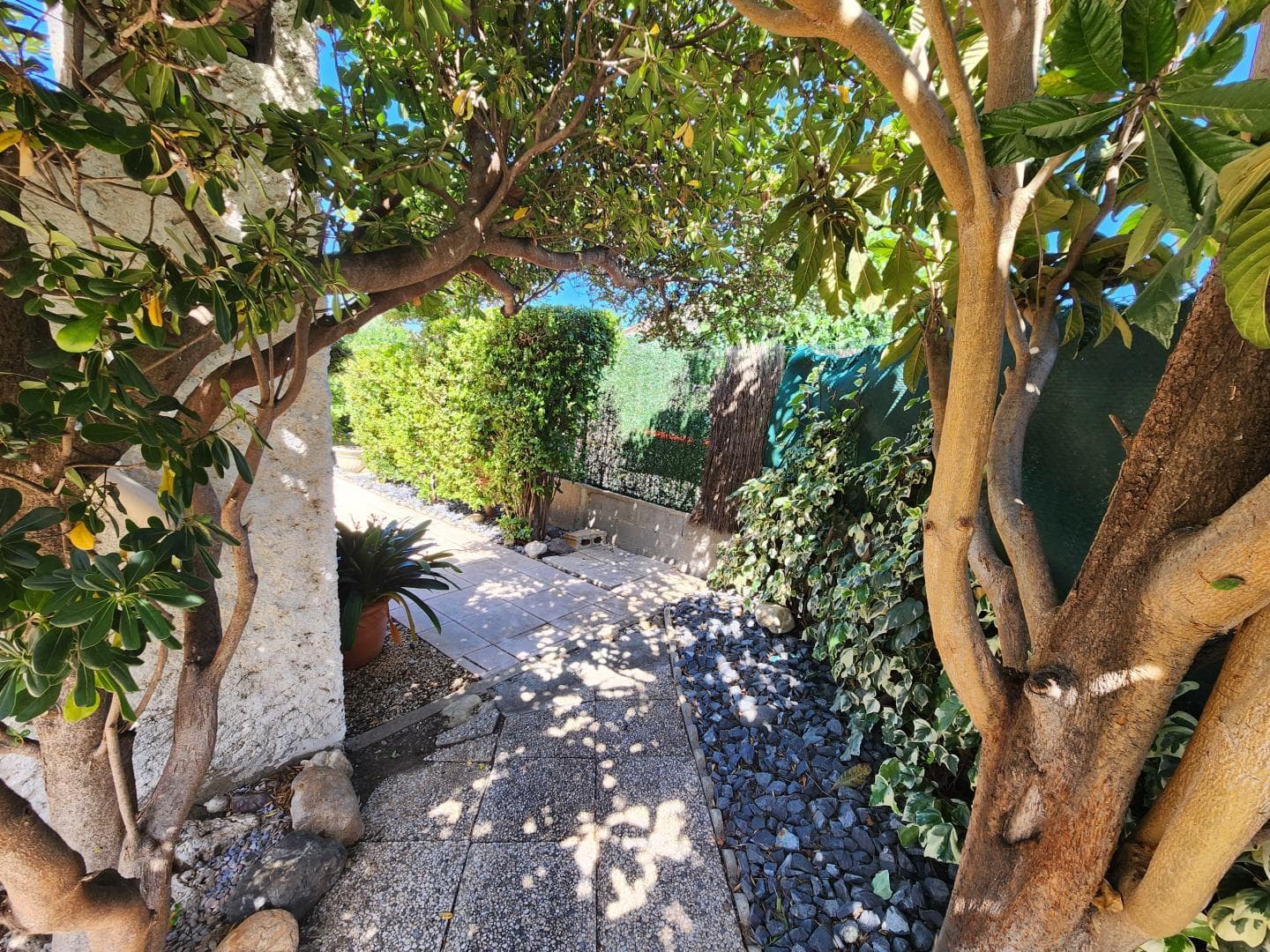 Gîte Les Alicantes_18