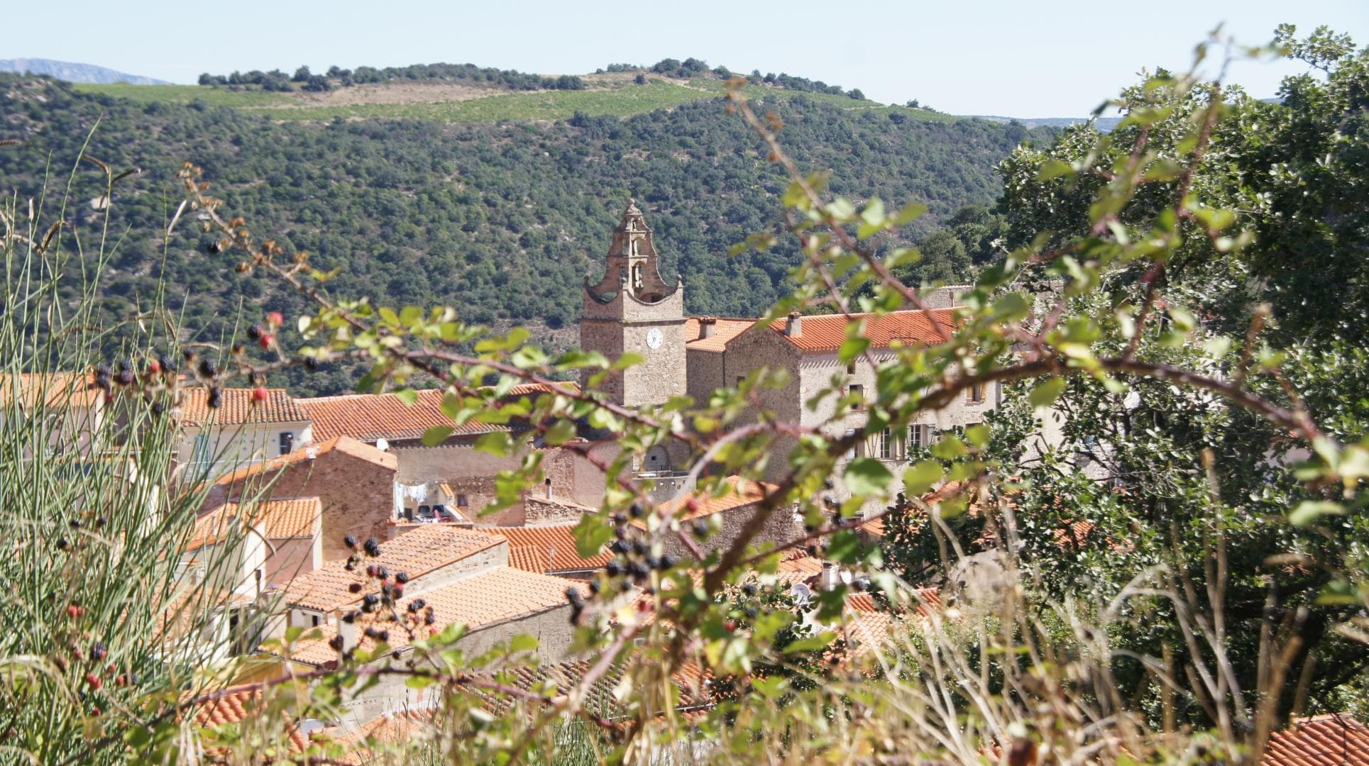 Gite de la borde_28