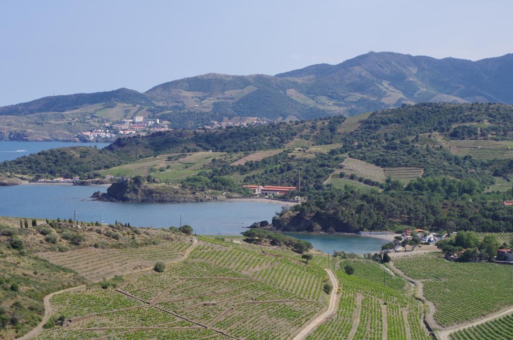 Cap cerbere_21