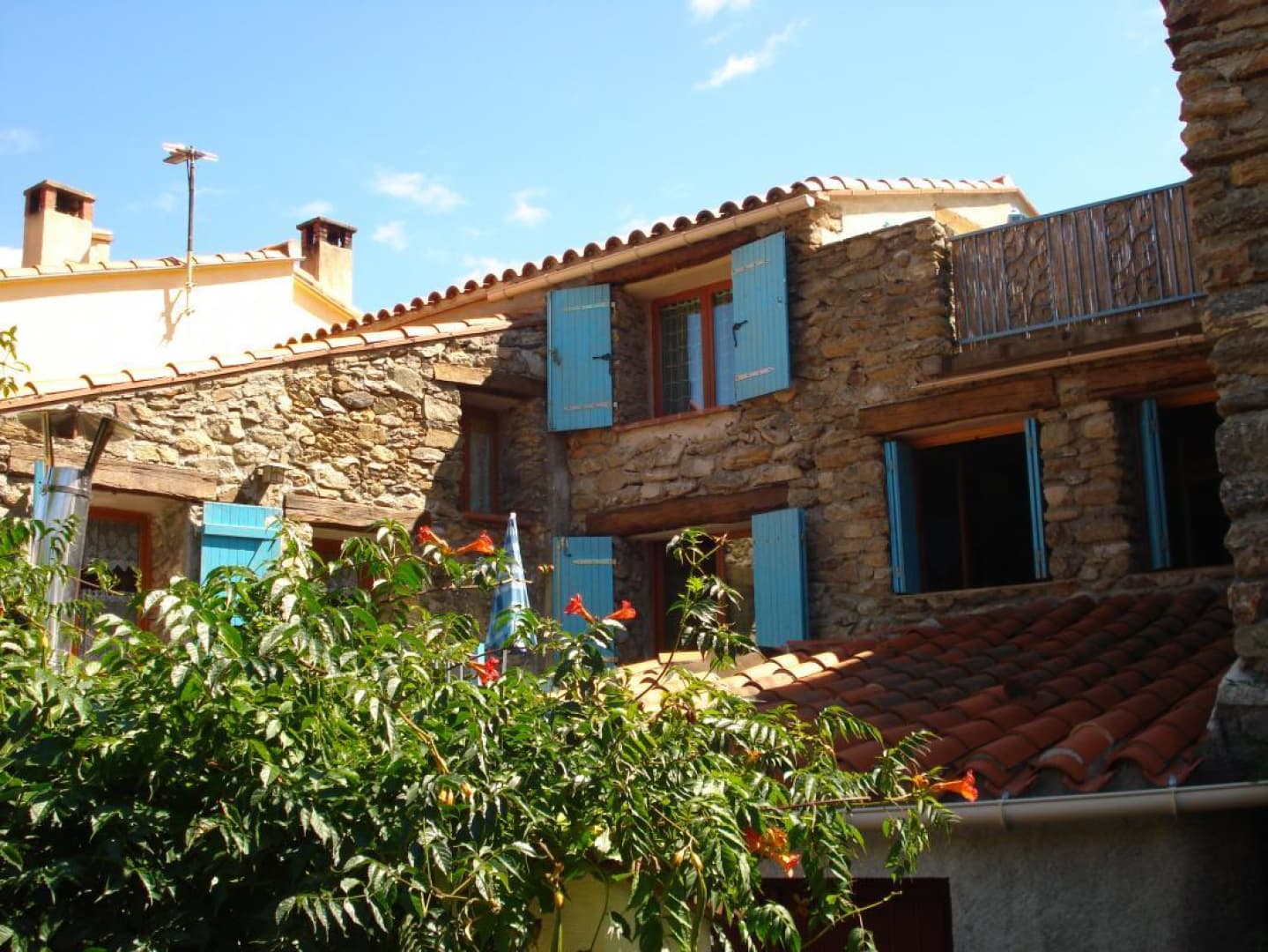 Le cortal_2