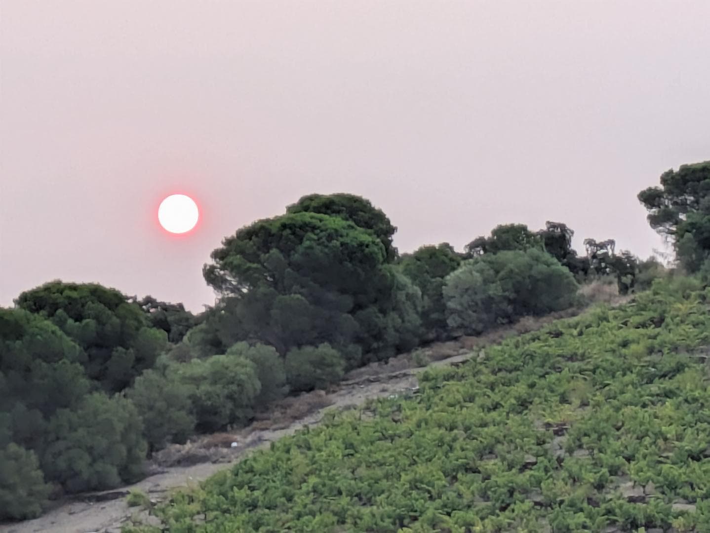 Gîte Mer et Vignes_31