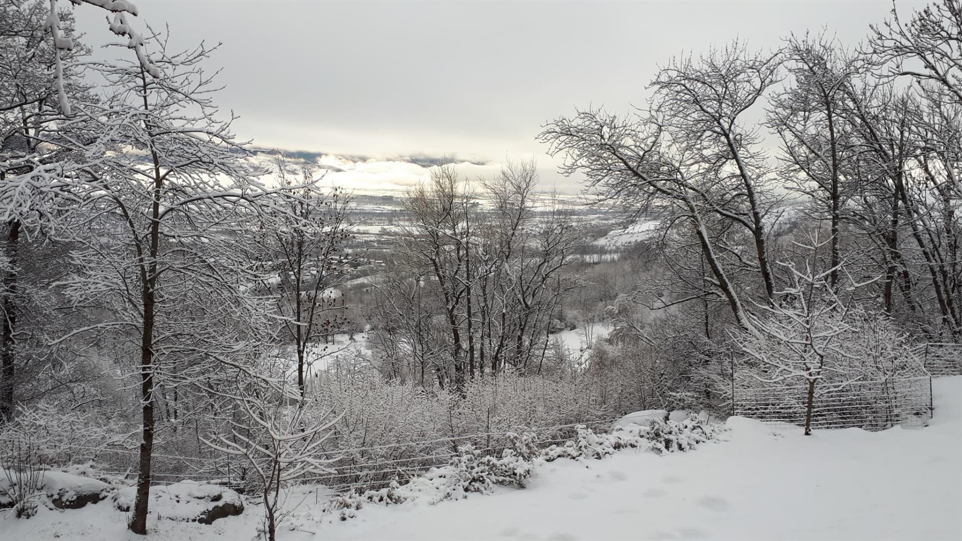 Solana_33