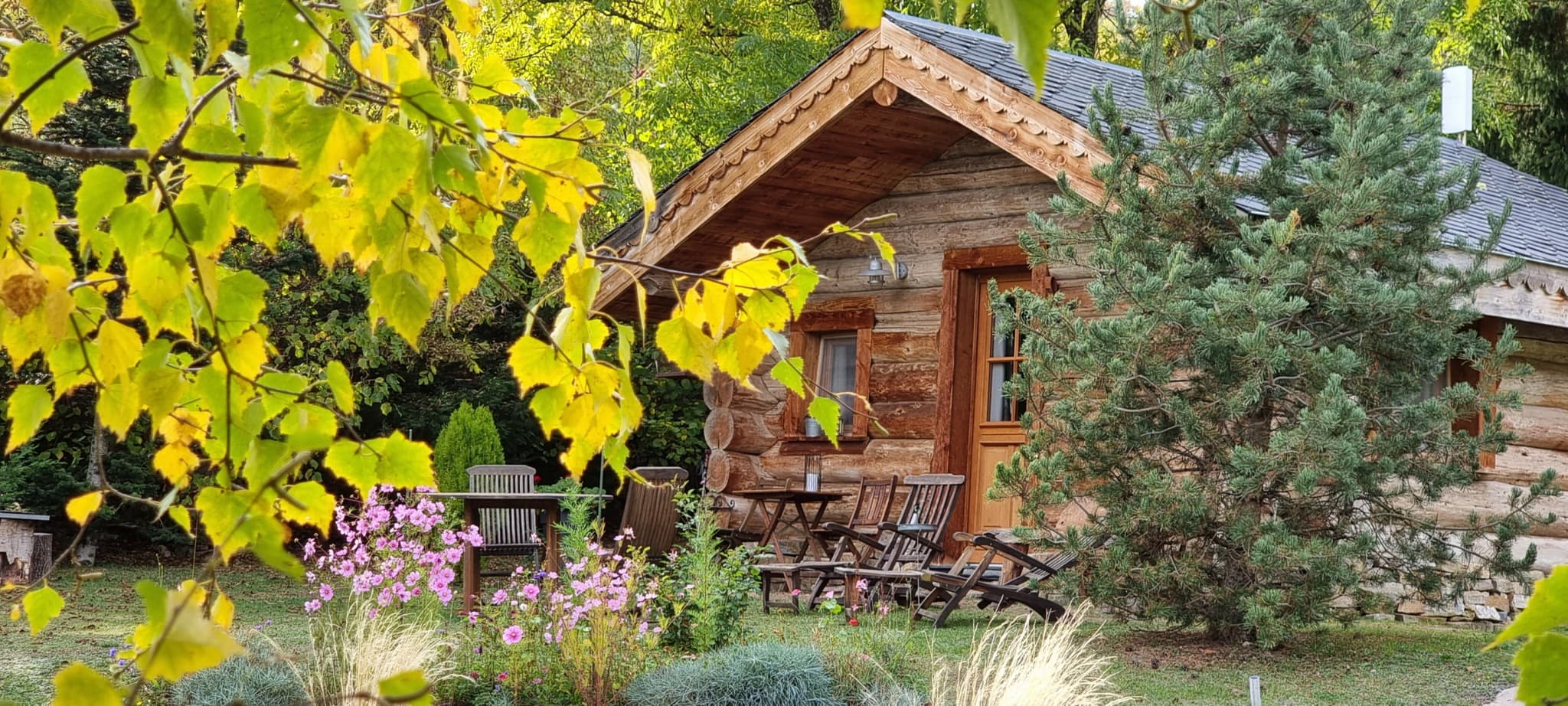 La cabane du trappeur_29