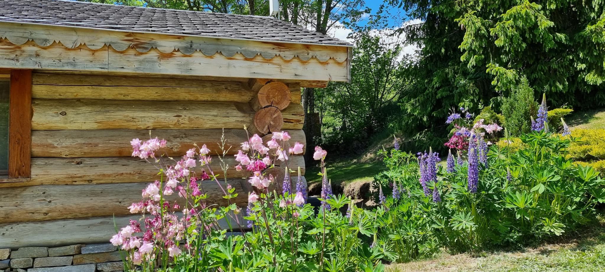 La cabane du trappeur_31