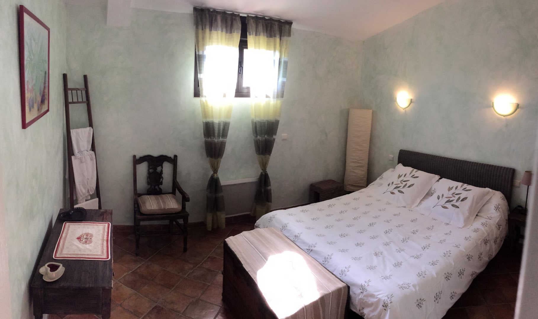 Gîte et oliviers_15
