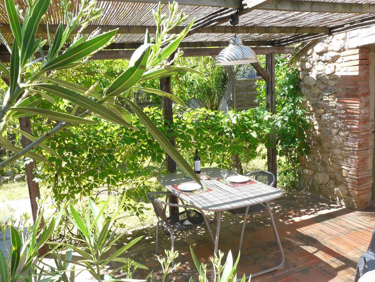 Els oliveres_4