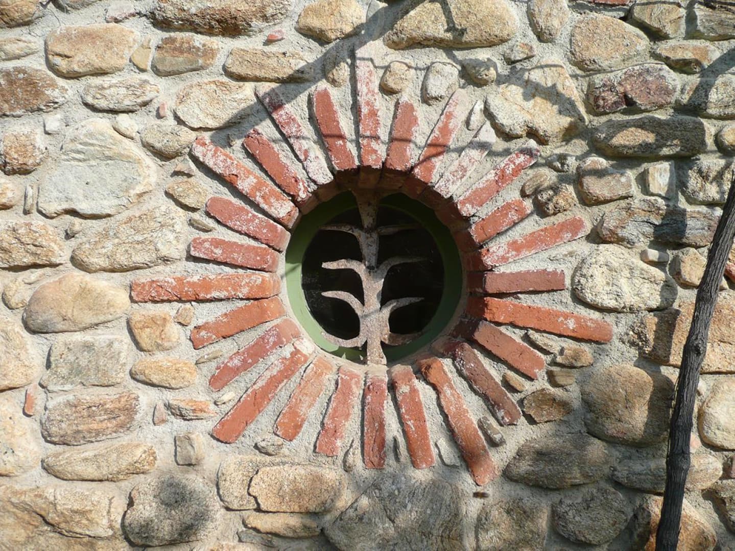 Els oliveres_11