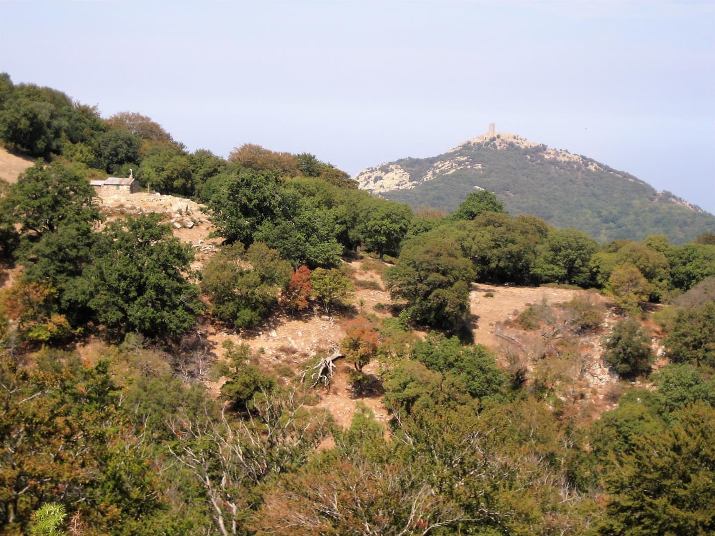 Els cirerers_29