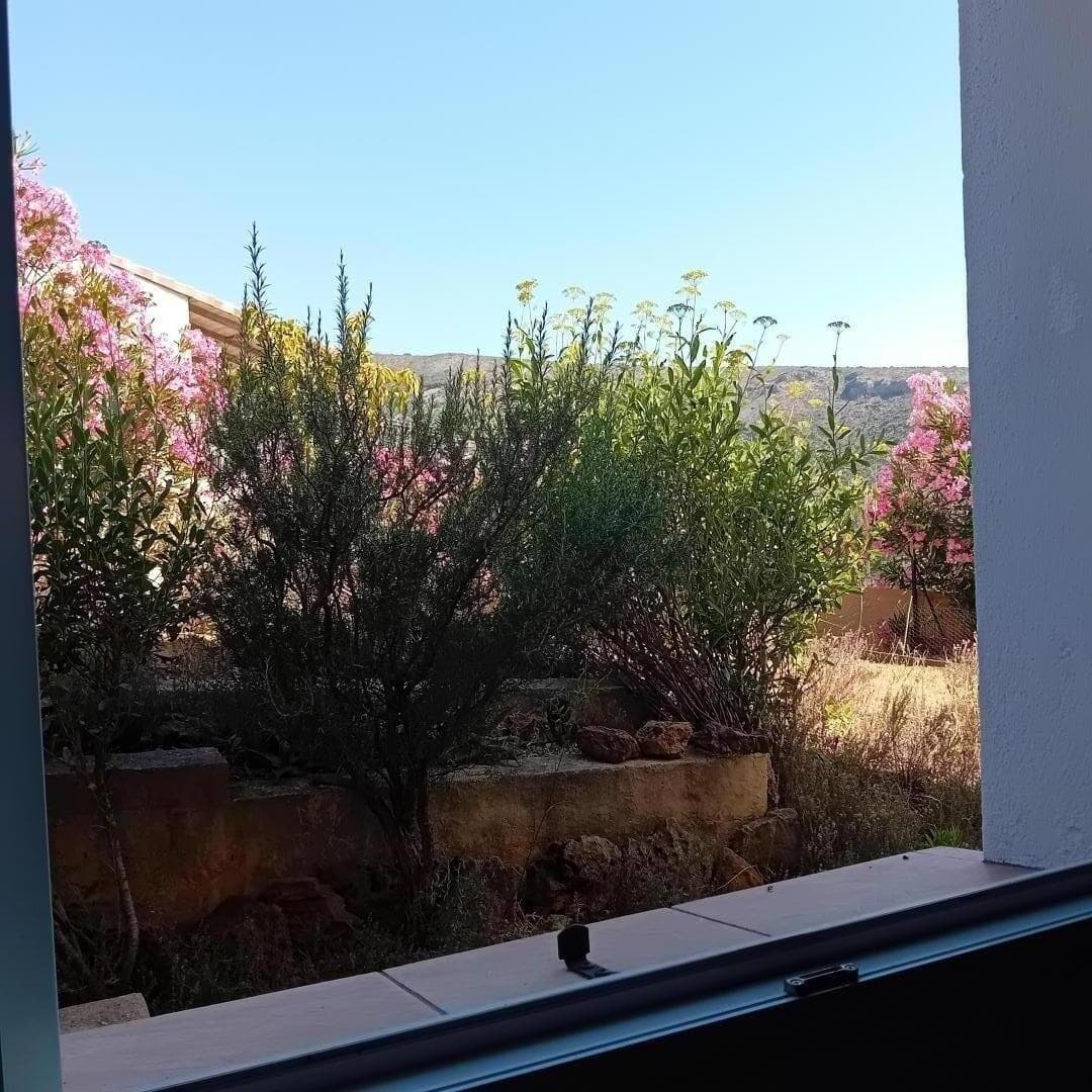 Sygal_26